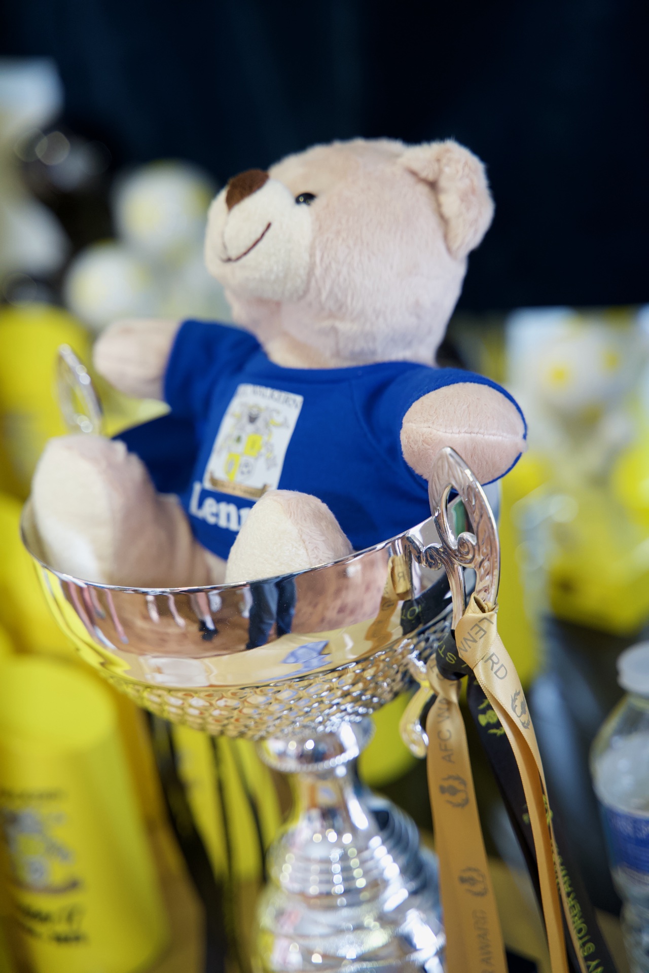 Milestone celebration photography